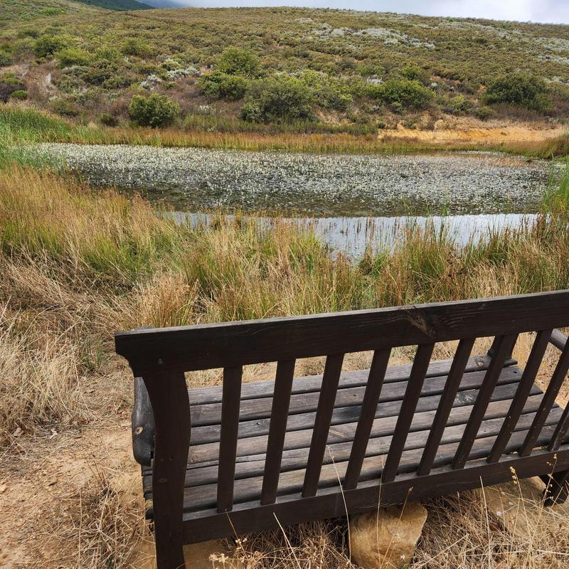 0 Bedroom Property for Sale in Wolseley Western Cape